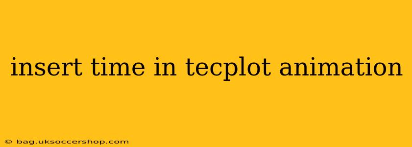 insert time in tecplot animation