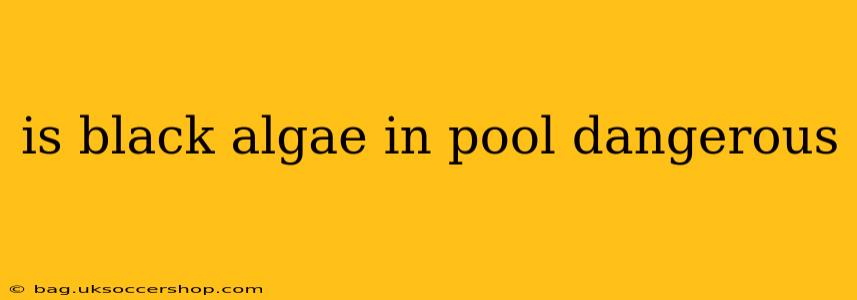 is black algae in pool dangerous