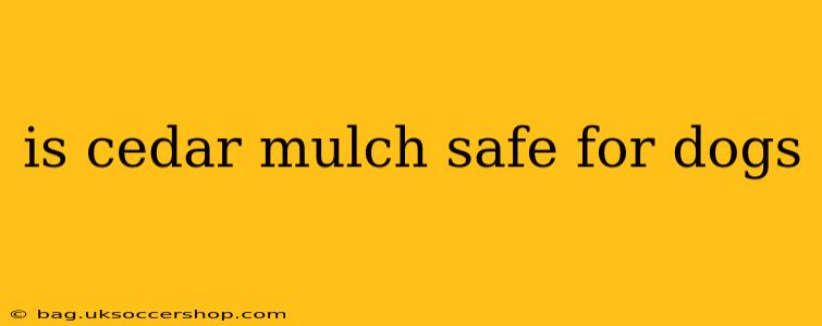 is cedar mulch safe for dogs