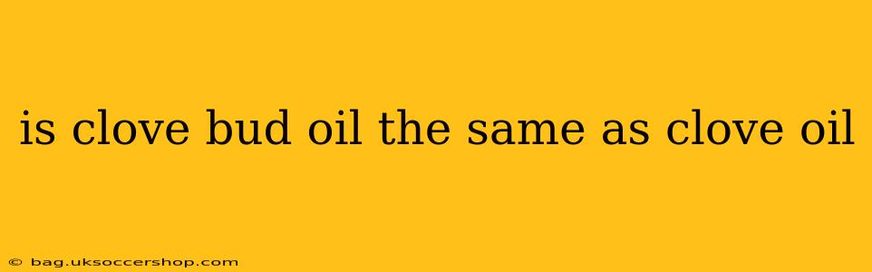 is clove bud oil the same as clove oil