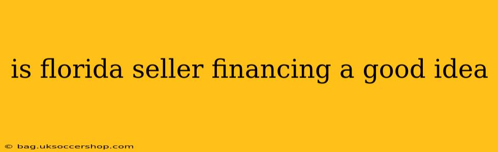 is florida seller financing a good idea