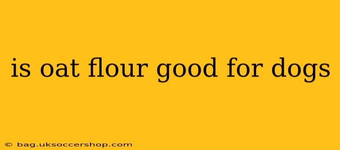is oat flour good for dogs