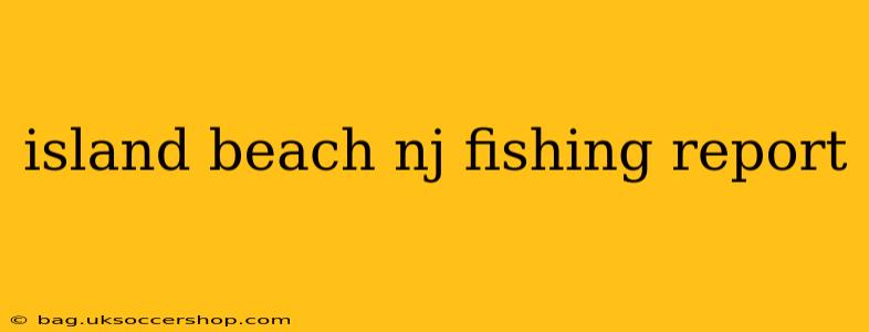 island beach nj fishing report