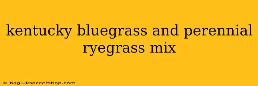 kentucky bluegrass and perennial ryegrass mix