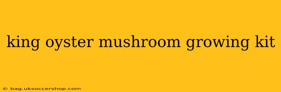 king oyster mushroom growing kit