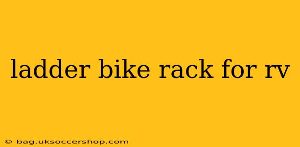 ladder bike rack for rv