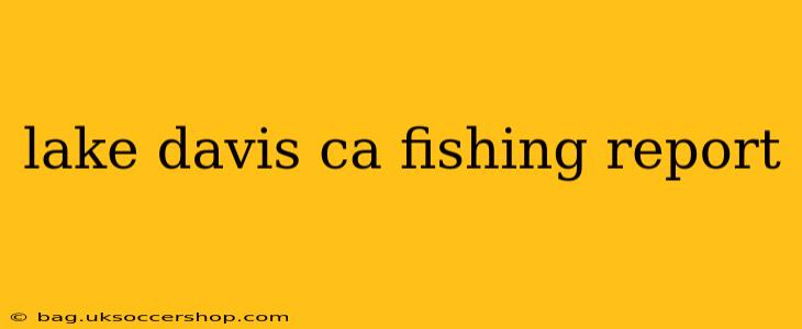 lake davis ca fishing report