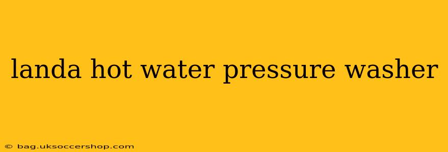 landa hot water pressure washer