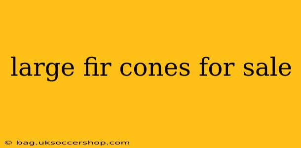 large fir cones for sale