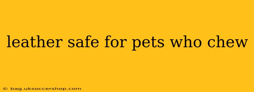 leather safe for pets who chew