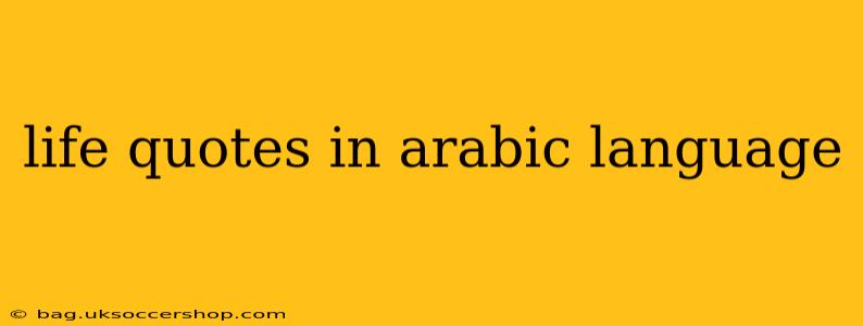 life quotes in arabic language