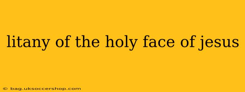 litany of the holy face of jesus