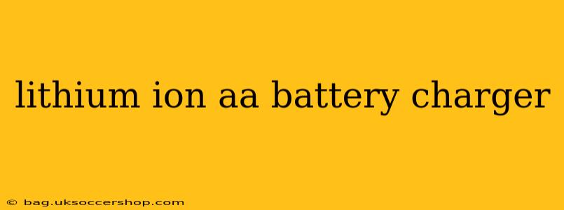 lithium ion aa battery charger