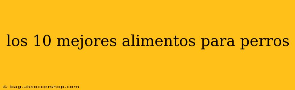 los 10 mejores alimentos para perros