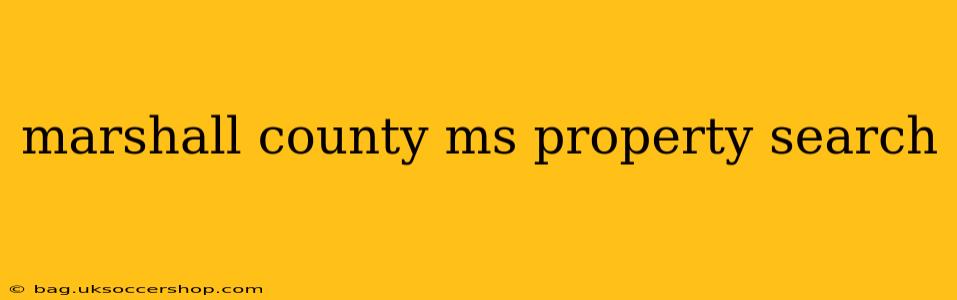 marshall county ms property search