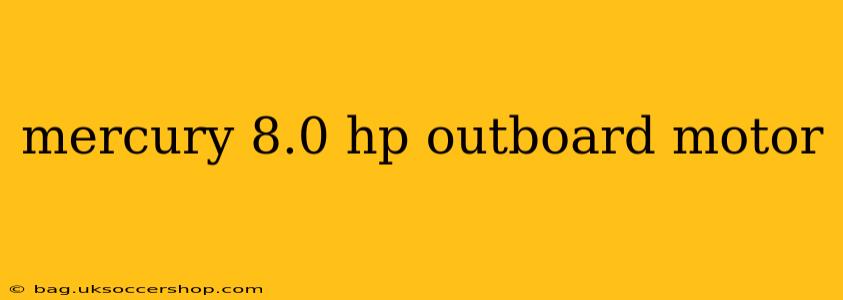 mercury 8.0 hp outboard motor