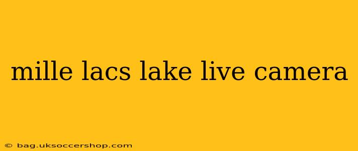 mille lacs lake live camera