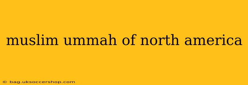 muslim ummah of north america