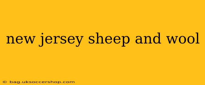 new jersey sheep and wool