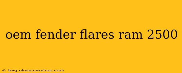 oem fender flares ram 2500
