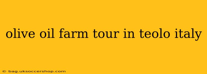 olive oil farm tour in teolo italy