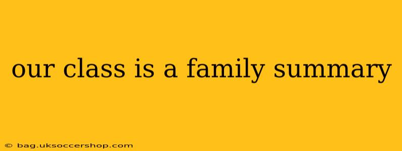 our class is a family summary