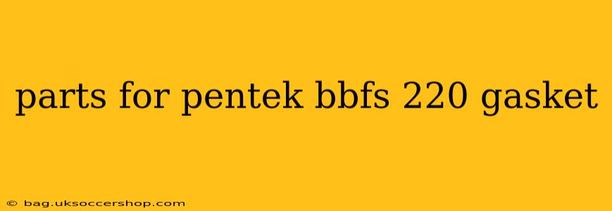 parts for pentek bbfs 220 gasket