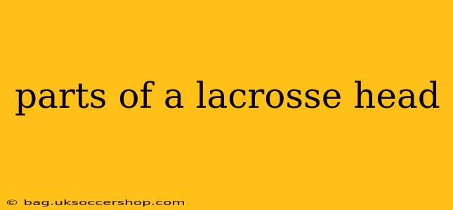 parts of a lacrosse head