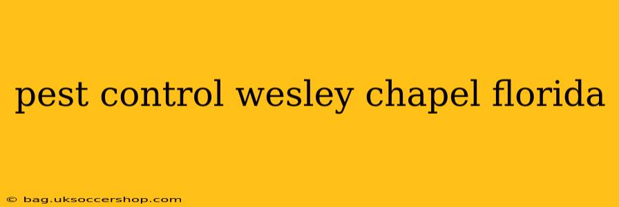 pest control wesley chapel florida