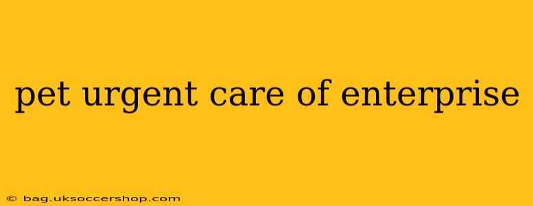 pet urgent care of enterprise
