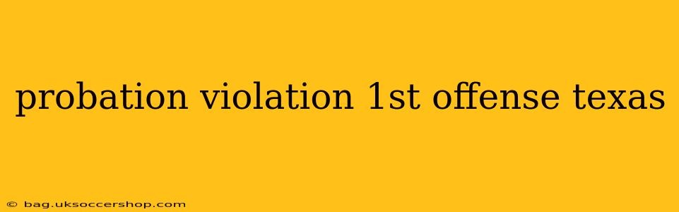 probation violation 1st offense texas