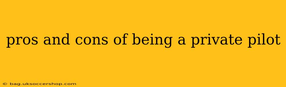pros and cons of being a private pilot