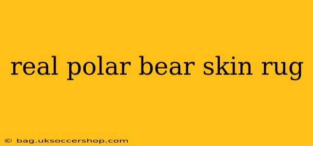 real polar bear skin rug