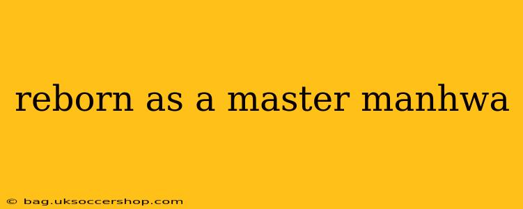 reborn as a master manhwa