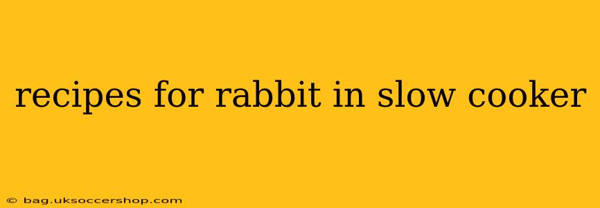 recipes for rabbit in slow cooker