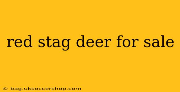 red stag deer for sale