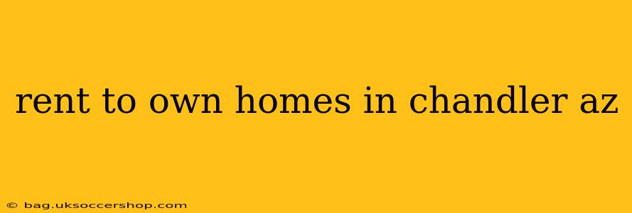 rent to own homes in chandler az