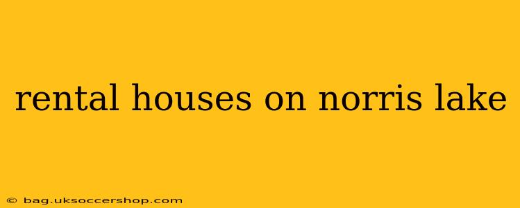 rental houses on norris lake