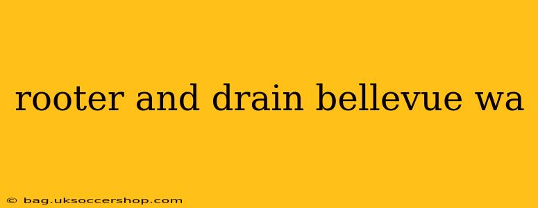 rooter and drain bellevue wa