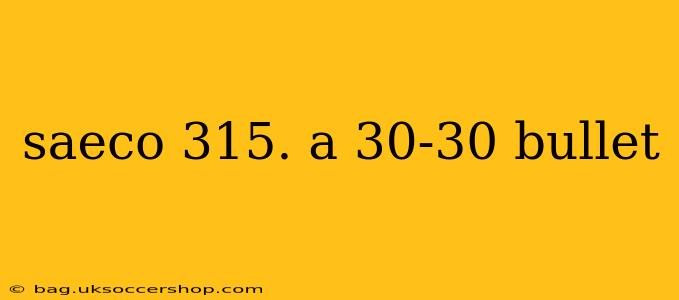 saeco 315. a 30-30 bullet