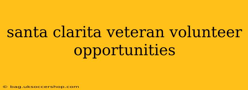 santa clarita veteran volunteer opportunities