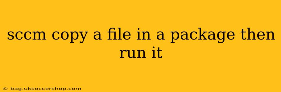 sccm copy a file in a package then run it
