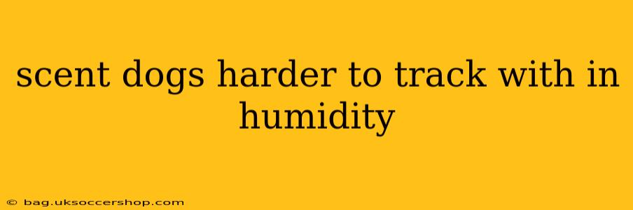 scent dogs harder to track with in humidity