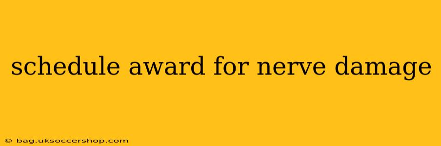 schedule award for nerve damage