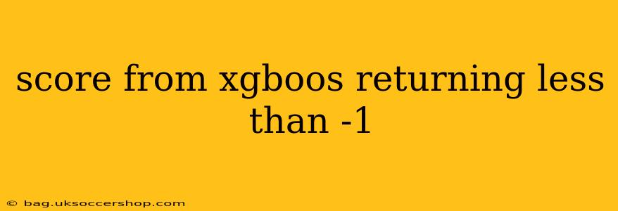 score from xgboos returning less than -1