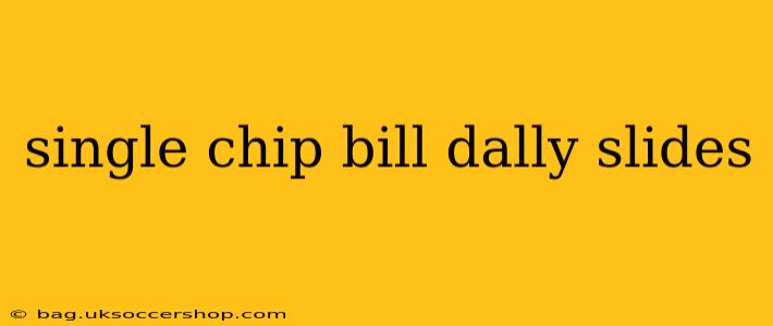 single chip bill dally slides