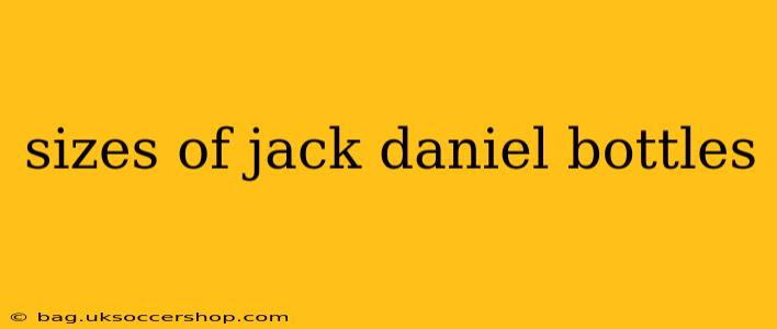 sizes of jack daniel bottles