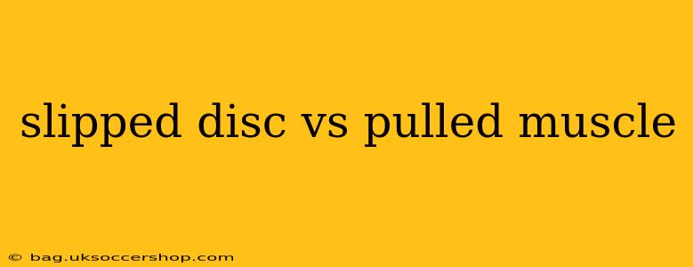 slipped disc vs pulled muscle