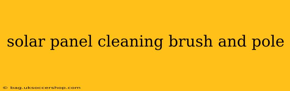solar panel cleaning brush and pole