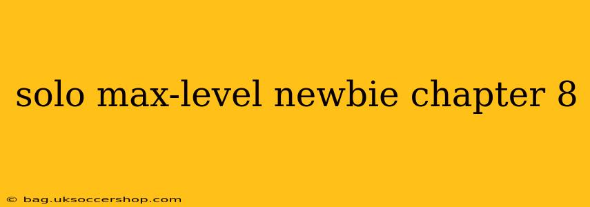 solo max-level newbie chapter 8